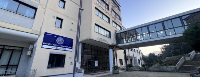 Paola Mastroberardino: nessuna volontà di candidarmi, notizia destituita di fondamento