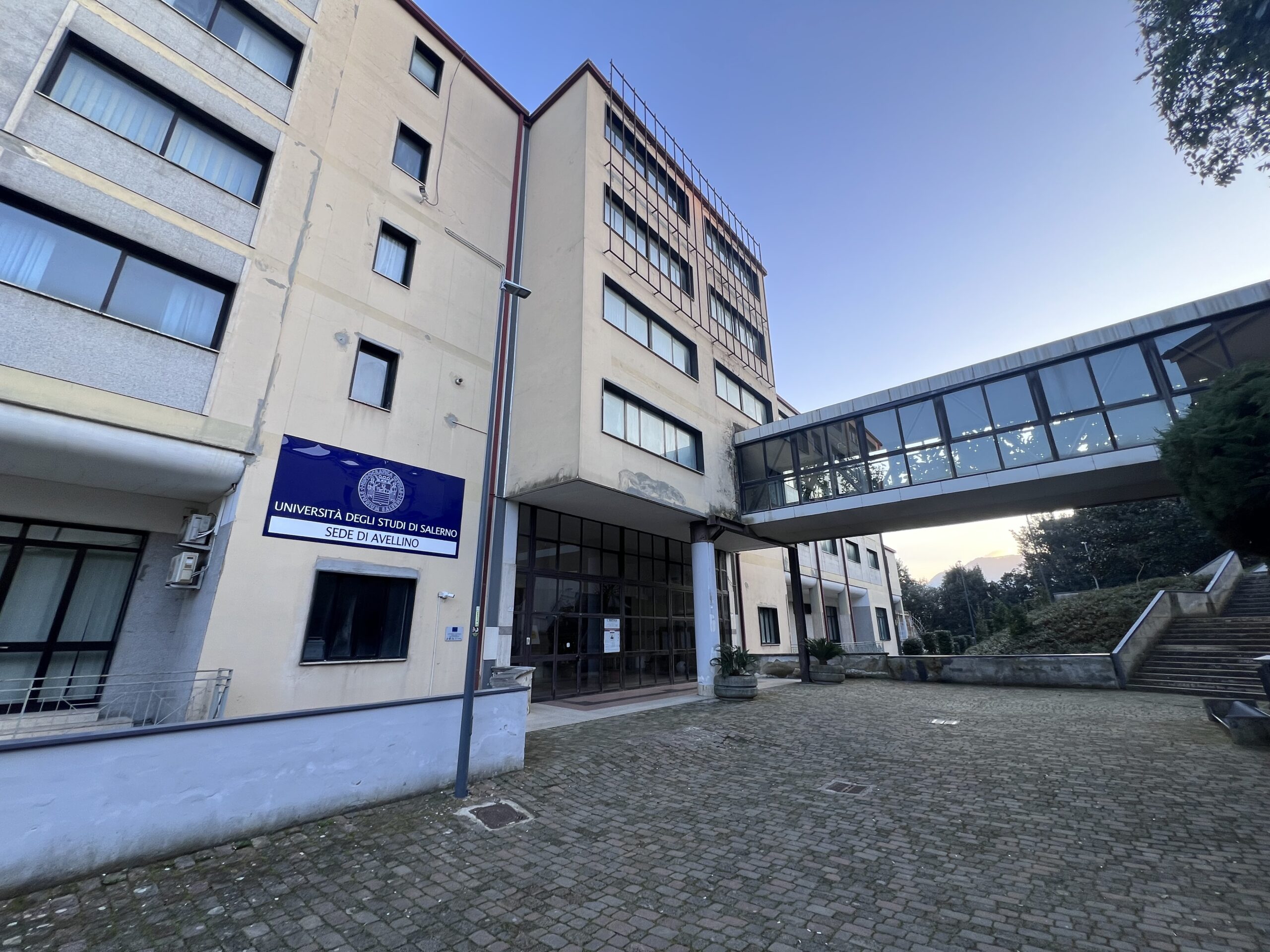 Paola Mastroberardino: nessuna volontà di candidarmi, notizia destituita di fondamento