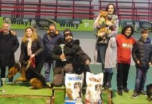 Eletti ad Arpaise Miss e Mister ArpaDog, cani protagonisti grazie all’Associazione Cinofila Wusd
