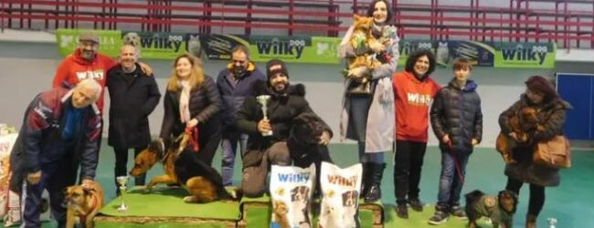 Eletti ad Arpaise Miss e Mister ArpaDog, cani protagonisti grazie all’Associazione Cinofila Wusd