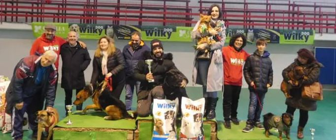 Eletti ad Arpaise Miss e Mister ArpaDog, cani protagonisti grazie all’Associazione Cinofila Wusd