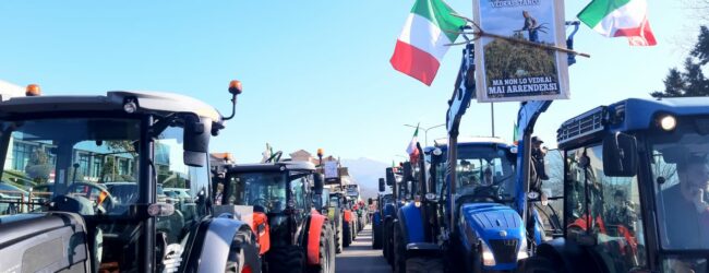 Avellino| Agricoltori, la protesta davanti agli uffici della Regione: 200 trattori in corteo, siamo al collasso