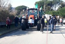 Domenica la Coldiretti celebra la 75^ Giornata del Ringraziamento