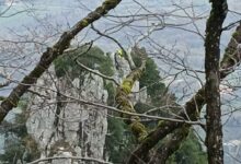 Sant’Angelo a Scala, cerca di raggiungere il proprio cane ma resta bloccato tra le rocce: salvato dal Soccorso Alpino e Speleologico