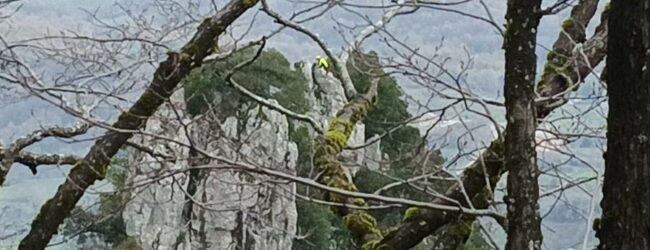 Sant’Angelo a Scala, cerca di raggiungere il proprio cane ma resta bloccato tra le rocce: salvato dal Soccorso Alpino e Speleologico