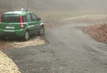 Carabinieri Forestali, il bilancio del 2023 in Campania: oltre 83mila controlli. Illeciti per 3mln di euro