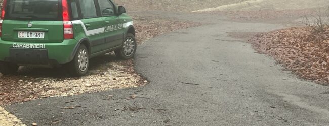 Carabinieri Forestali, il bilancio del 2023 in Campania: oltre 83mila controlli. Illeciti per 3mln di euro