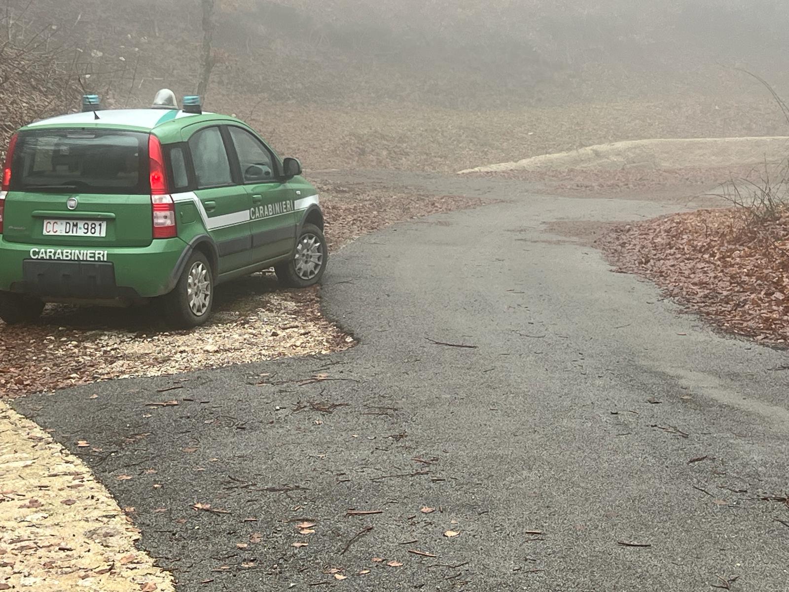 Carabinieri Forestali, il bilancio del 2023 in Campania: oltre 83mila controlli. Illeciti per 3mln di euro