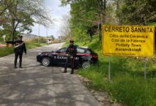 Controlli in Valle Telesina e nell’Alto Tammaro: sanzioni per 5.000 euro