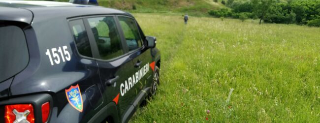 San Marco dei Cavoti, denunciato 37enne per abuso edilizio: stava costruendo un autolavaggio in area agricola