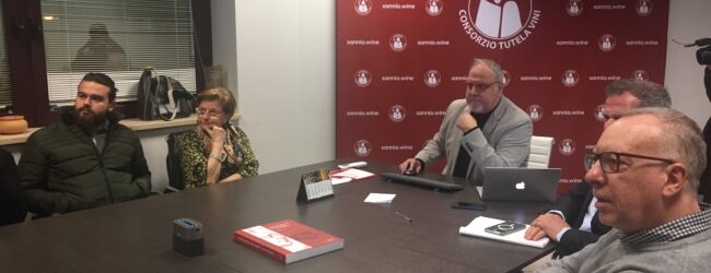 Indice di reputazione e posizionamento, i vini sanniti in uno studio dell’Istituto Metrica Ricerche di Milano