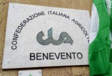 “Dalle radici il nostro futuro”: Cia Benevento apre il Congresso Provinciale