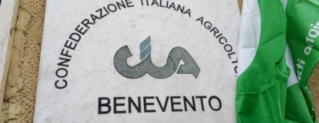 “Dalle radici il nostro futuro”: Cia Benevento apre il Congresso Provinciale
