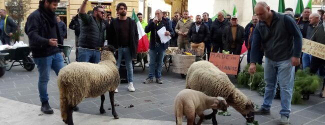 Agricoltori sanniti, manifestazione ‘didattica’ per le strade di Benevento