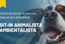L’ex Ministro Costa ritorna ad Avellino per sit-in contro le violenze sugli animali