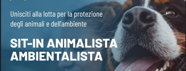 L’ex Ministro Costa ritorna ad Avellino per sit-in contro le violenze sugli animali
