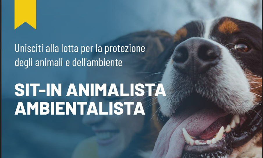L’ex Ministro Costa ritorna ad Avellino per sit-in contro le violenze sugli animali