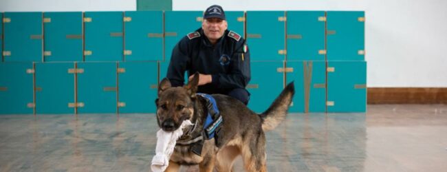 La Polizia penitenziaria dice addio al cane Zolly