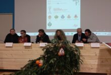 Cesinali| Il XVI campionato mondiale della sopressata lo vince Antonio Picariello di Aiello del Sabato