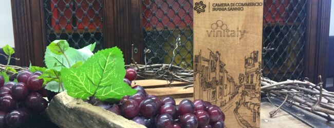 Irpinia e Sannio verso il 56° Vinitaly con numeri e aziende da record