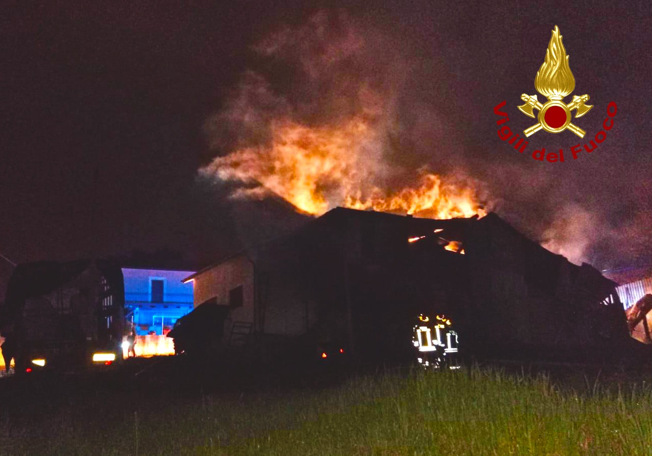 Melito Irpino| In fiamme un capannone agricolo, corsa contro il tempo per salvare gli animali