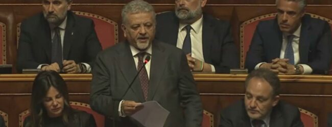 Matera (FdI): “Agricoltura ottenga giusta attenzione in Europa”