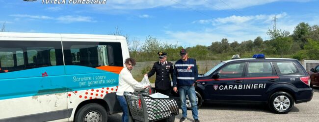 Prodotti ittici senza tracciabilita’, sequestro dei Carabinieri Forestale in una pescheria della Valle Telesina