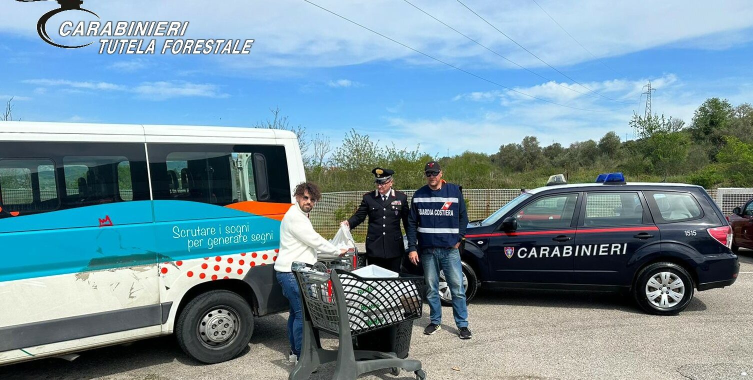Prodotti ittici senza tracciabilita’, sequestro dei Carabinieri Forestale in una pescheria della Valle Telesina