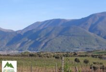 Il 26 maggio la prima edizione della cicloturistica sannita “Tra Borghi e Vigneti”