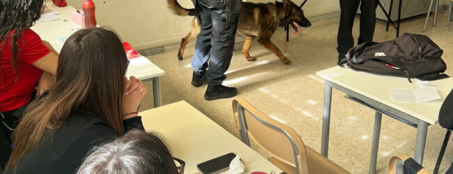 Lacedonia| “Neo” il cane antidroga protagonista di una giornata con gli studenti dell’Istituto “De Sanctis”