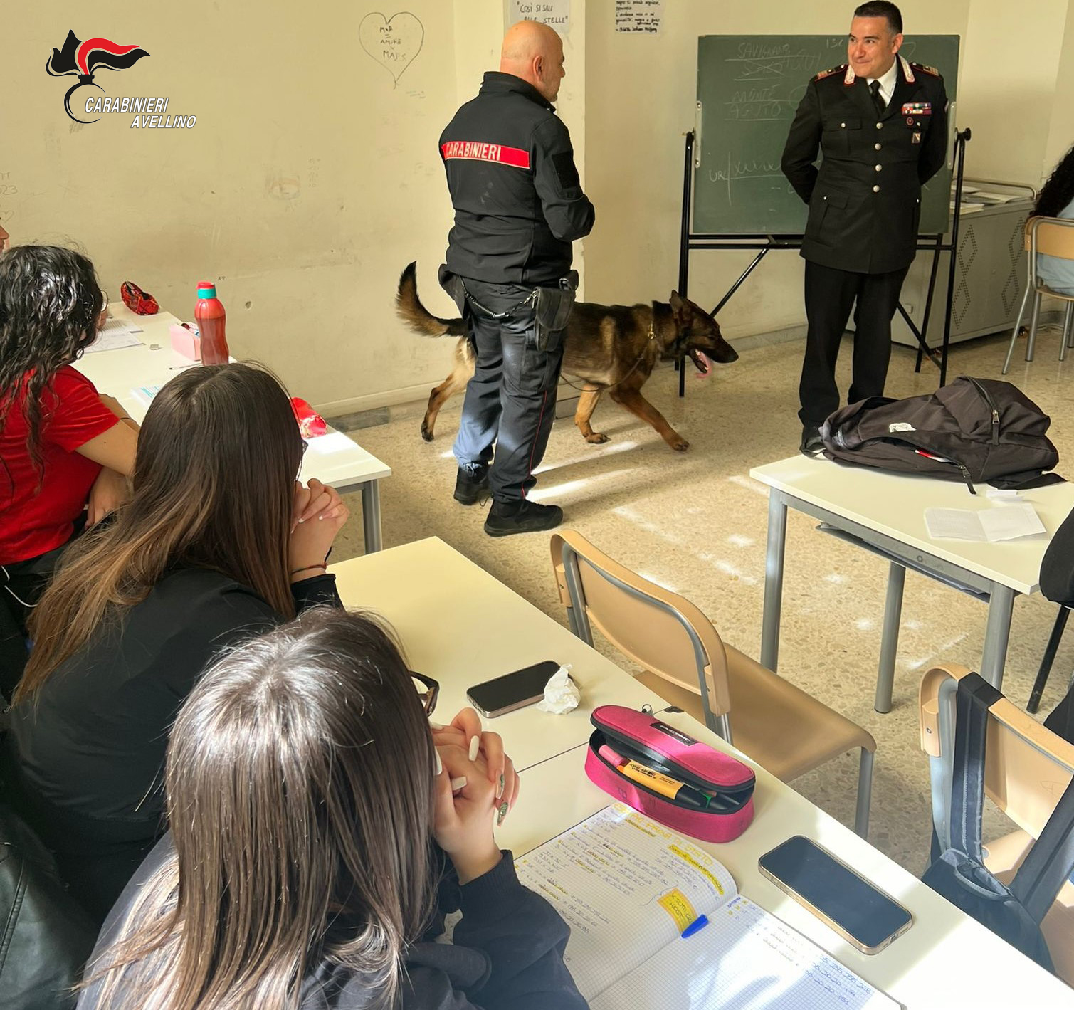 Lacedonia| “Neo” il cane antidroga protagonista di una giornata con gli studenti dell’Istituto “De Sanctis”