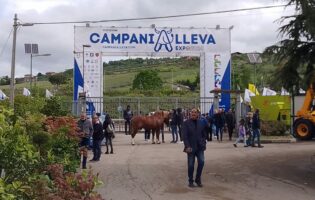 CampaniAlleva Expo 2025: lunedi 5 maggio la conferenza stampa di presentazione, tante le novità