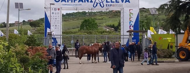CampaniAlleva Expo 2025: lunedi 5 maggio la conferenza stampa di presentazione, tante le novità