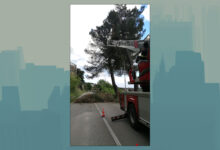 Albero pericolante in via dei Mulini, intervenuti i vigili del fuoco