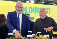 Emergenza cinghiali, Coldiretti incontra l’assessore Caputo: “Gli agricoltori potranno difendersi purché siano autorizzati”