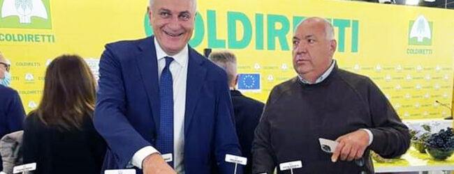 Emergenza cinghiali, Coldiretti incontra l’assessore Caputo: “Gli agricoltori potranno difendersi purché siano autorizzati”