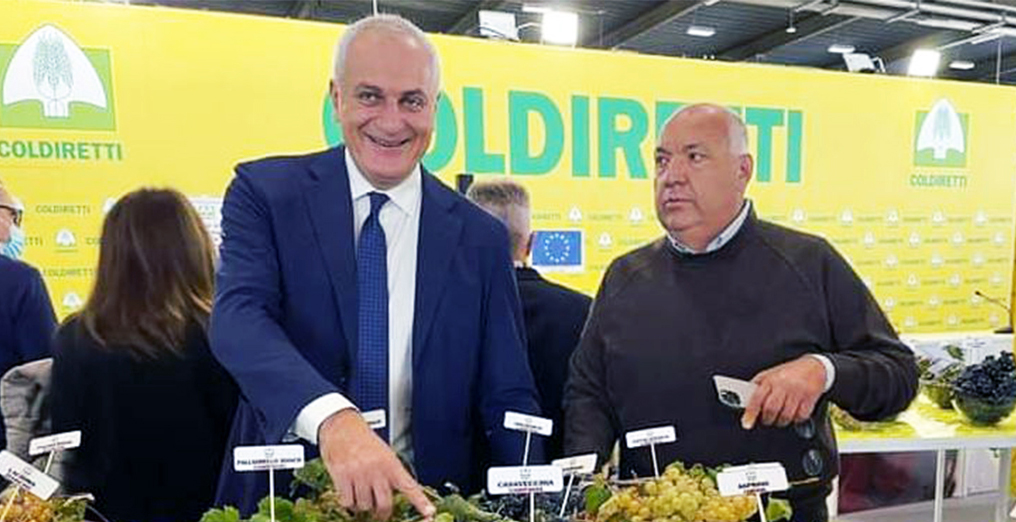 Emergenza cinghiali, Coldiretti incontra l’assessore Caputo: “Gli agricoltori potranno difendersi purché siano autorizzati”