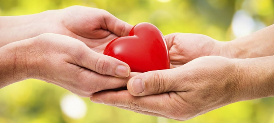 Donazione organi, il comune campano più generoso è Montefalcione