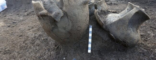 Amorosi svela l’eccezionale rinvenimento del corredo funerario trovato nella necropoli