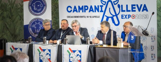 CampaniAlleva Expo 2024, è tutto pronto: inaugurazione e taglio del nastro fissati venerdì 19 Aprile ore 10