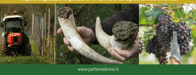 Agricoltura Biodinamica: la sfida lanciata da “Partenio diVino”