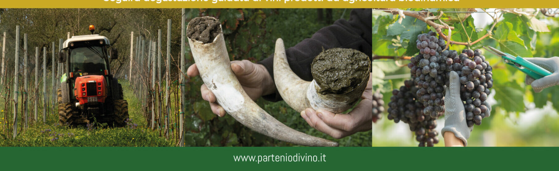 Agricoltura Biodinamica: la sfida lanciata da “Partenio diVino”