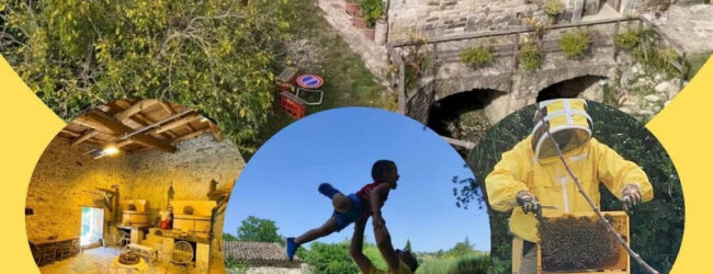 A Reino si presenta il progetto “M@V Experience to bee – Con le Api, Architetti di Ecosostenibilità e Biodiversità”