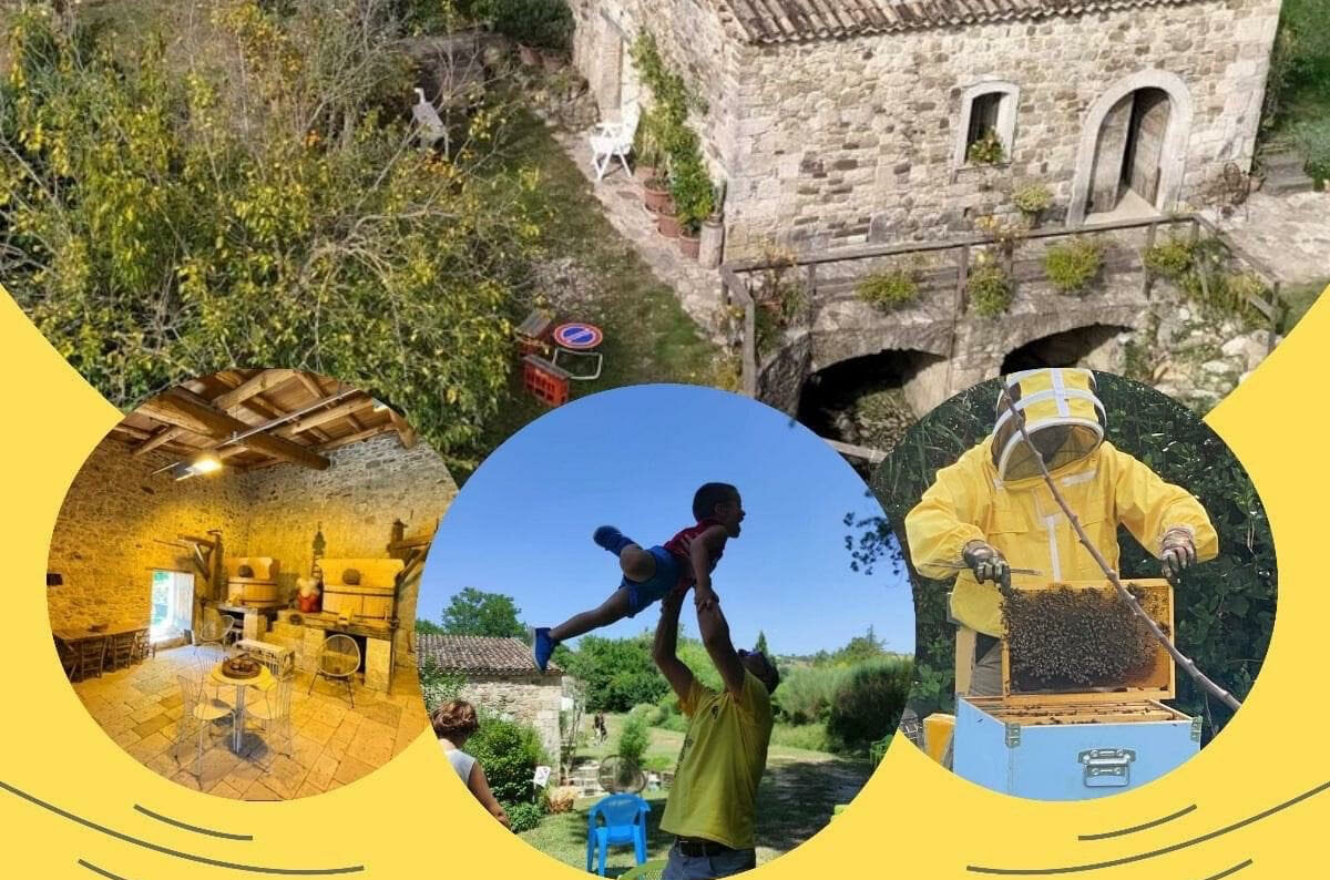 A Reino si presenta il progetto “M@V Experience to bee – Con le Api, Architetti di Ecosostenibilità e Biodiversità”