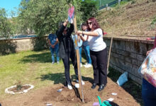 Solopaca: piantato un albero in ricordo di Emily Vegliante, giovane mamma morta in un incidente stradale