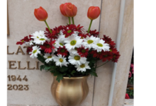 Rubati fiori dalla lapide, la denuncia di un cittadino beneventano