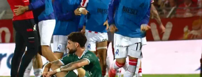 Vicenza -Avellino 2-1. Al “Menti” si ferma il sogno dei lupi