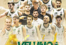 Basket, la Del Fes Avellino promossa in A2