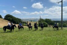 Ippovia Valle del Tammaro, al lavoro per la mappatura