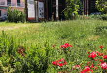 Infopoint di Piazza Cardinal Pacca, Lonardo (FI): “Un mamozino in totale abbandono”
